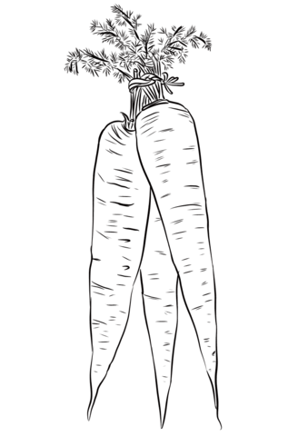 Long Yellow Carrots Coloring Page